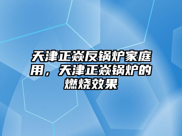 天津正焱反鍋爐家庭用，天津正焱鍋爐的燃燒效果