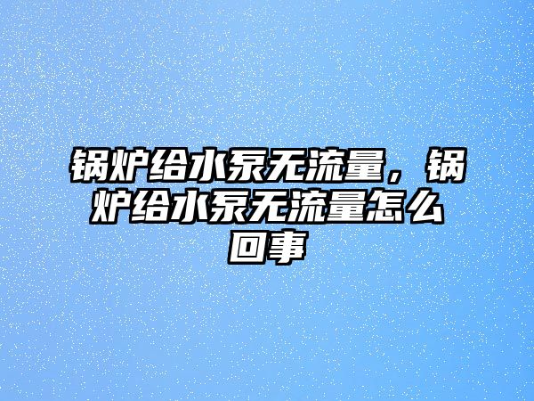 鍋爐給水泵無流量，鍋爐給水泵無流量怎么回事