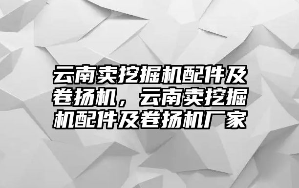 云南賣挖掘機(jī)配件及卷?yè)P(yáng)機(jī)，云南賣挖掘機(jī)配件及卷?yè)P(yáng)機(jī)廠家