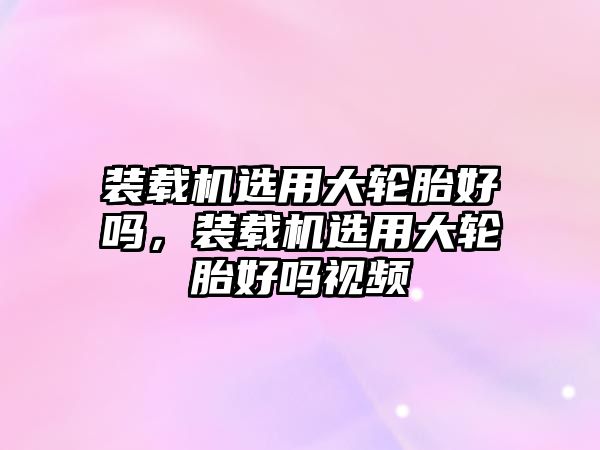 裝載機選用大輪胎好嗎，裝載機選用大輪胎好嗎視頻