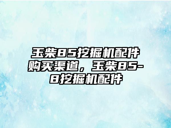 玉柴85挖掘機配件購買渠道，玉柴85-8挖掘機配件