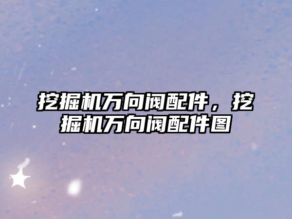 挖掘機萬向閥配件，挖掘機萬向閥配件圖