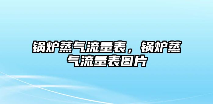 鍋爐蒸氣流量表，鍋爐蒸氣流量表圖片