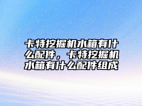 卡特挖掘機水箱有什么配件，卡特挖掘機水箱有什么配件組成