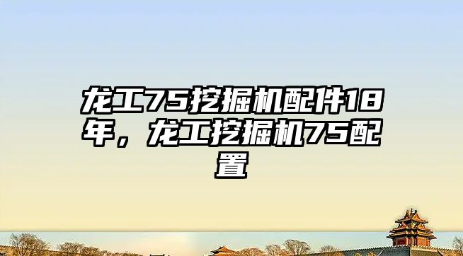 龍工75挖掘機配件18年，龍工挖掘機75配置