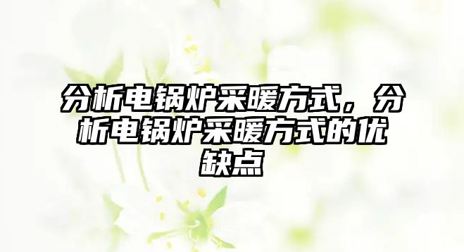 分析電鍋爐采暖方式，分析電鍋爐采暖方式的優(yōu)缺點(diǎn)