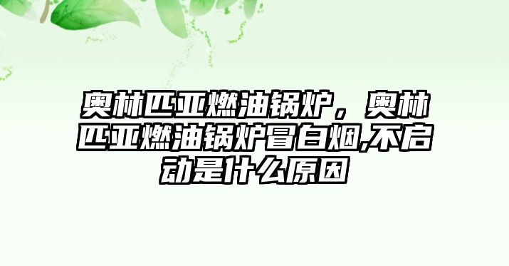 奧林匹亞燃油鍋爐，奧林匹亞燃油鍋爐冒白煙,不啟動是什么原因