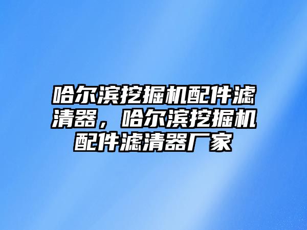 哈爾濱挖掘機配件濾清器，哈爾濱挖掘機配件濾清器廠家