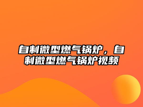 自制微型燃氣鍋爐，自制微型燃氣鍋爐視頻