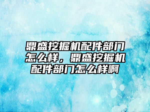 鼎盛挖掘機配件部門怎么樣，鼎盛挖掘機配件部門怎么樣啊