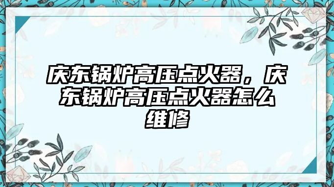 慶東鍋爐高壓點火器，慶東鍋爐高壓點火器怎么維修