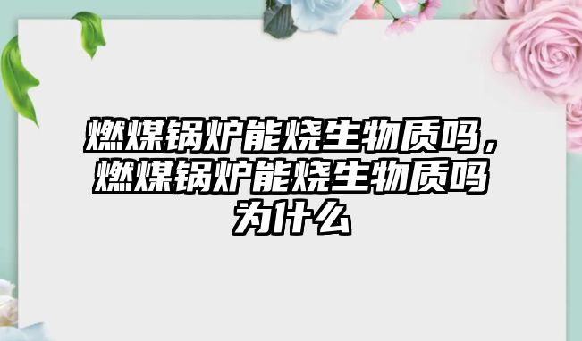 燃煤鍋爐能燒生物質嗎，燃煤鍋爐能燒生物質嗎為什么