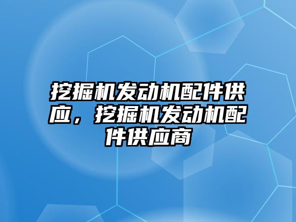 挖掘機發(fā)動機配件供應，挖掘機發(fā)動機配件供應商