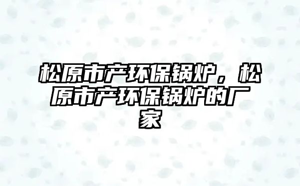 松原市產環保鍋爐，松原市產環保鍋爐的廠家