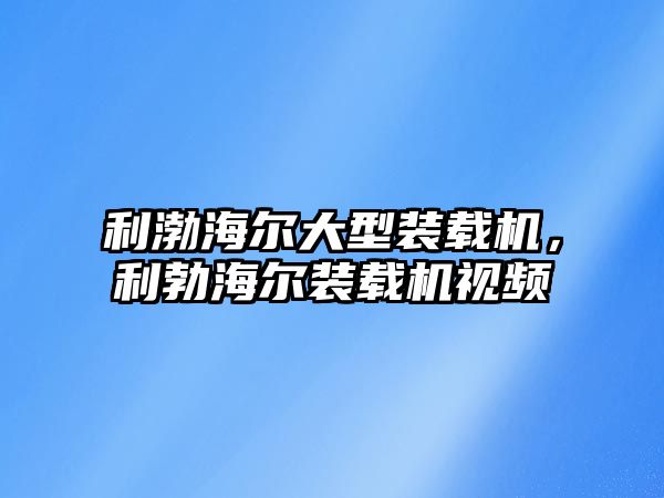 利渤海爾大型裝載機，利勃海爾裝載機視頻