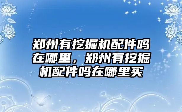 鄭州有挖掘機配件嗎在哪里，鄭州有挖掘機配件嗎在哪里買