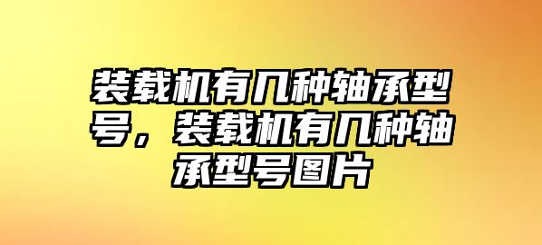 裝載機有幾種軸承型號，裝載機有幾種軸承型號圖片