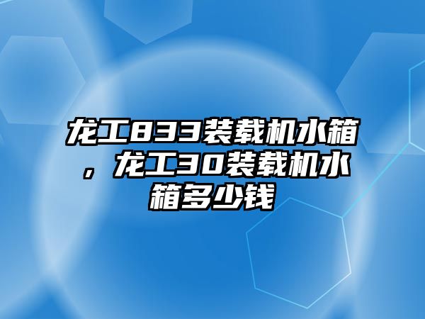 龍工833裝載機水箱，龍工30裝載機水箱多少錢