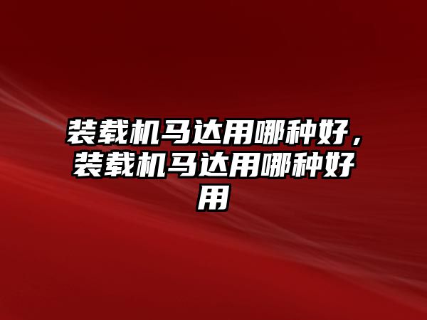 裝載機馬達用哪種好，裝載機馬達用哪種好用