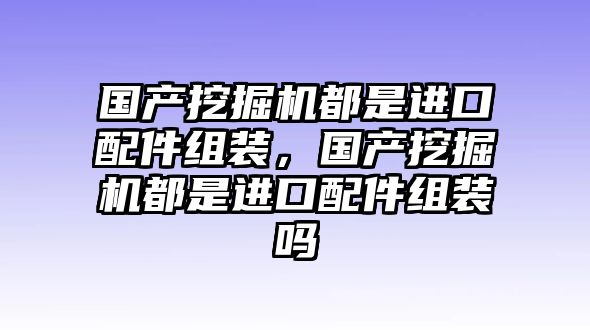 國產挖掘機都是進口配件組裝，國產挖掘機都是進口配件組裝嗎