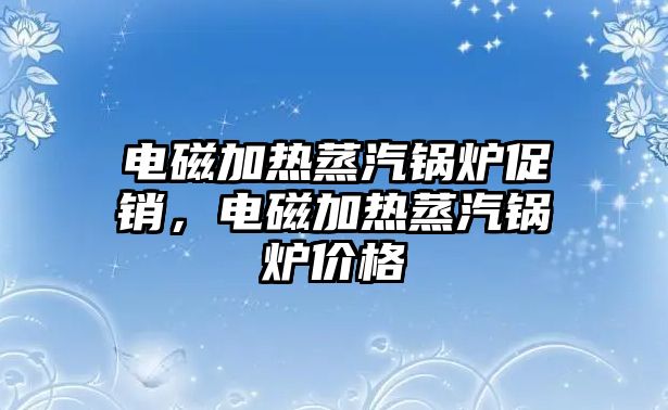 電磁加熱蒸汽鍋爐促銷，電磁加熱蒸汽鍋爐價(jià)格