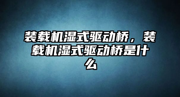 裝載機濕式驅動橋，裝載機濕式驅動橋是什么