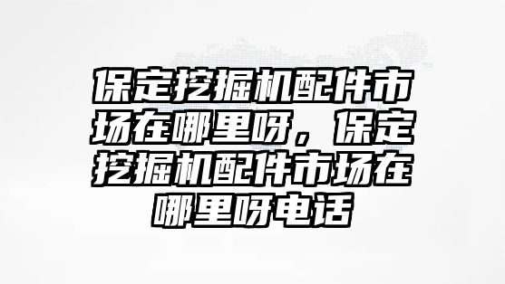 保定挖掘機配件市場在哪里呀，保定挖掘機配件市場在哪里呀電話