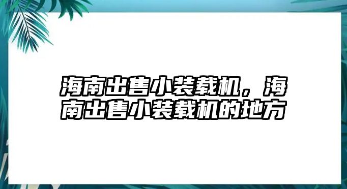 海南出售小裝載機，海南出售小裝載機的地方