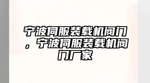 寧波伺服裝載機(jī)閥門，寧波伺服裝載機(jī)閥門廠家