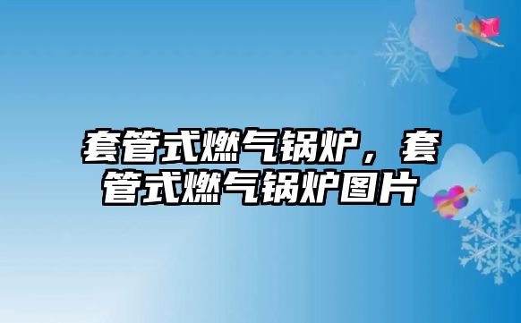 套管式燃氣鍋爐，套管式燃氣鍋爐圖片