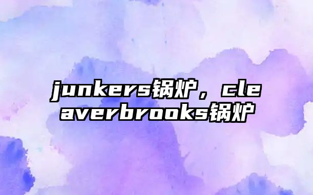 junkers鍋爐，cleaverbrooks鍋爐