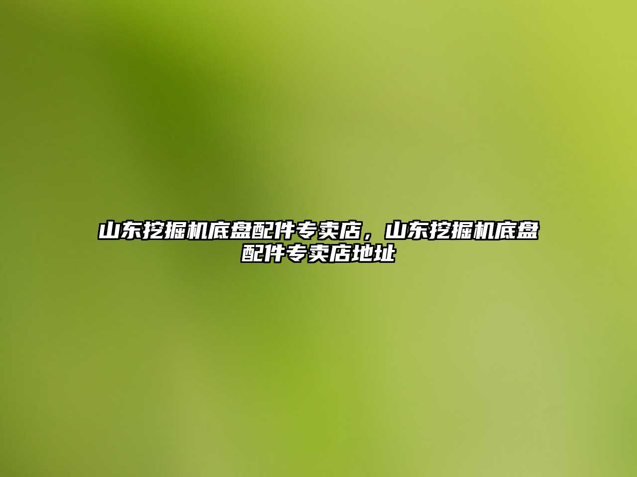 山東挖掘機底盤配件專賣店，山東挖掘機底盤配件專賣店地址