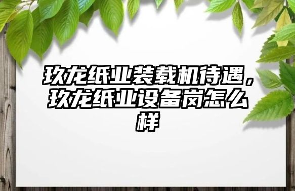 玖龍紙業裝載機待遇，玖龍紙業設備崗怎么樣