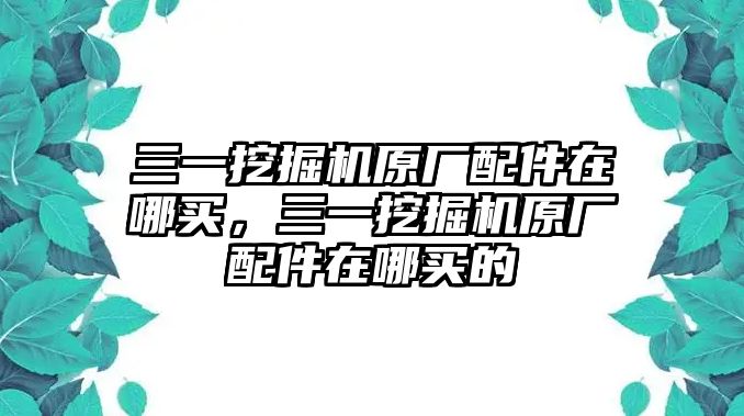 三一挖掘機原廠配件在哪買，三一挖掘機原廠配件在哪買的