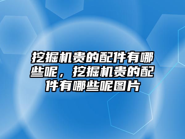 挖掘機貴的配件有哪些呢，挖掘機貴的配件有哪些呢圖片