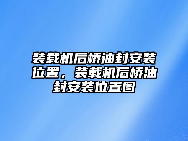 裝載機后橋油封安裝位置，裝載機后橋油封安裝位置圖