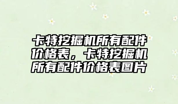 卡特挖掘機所有配件價格表，卡特挖掘機所有配件價格表圖片