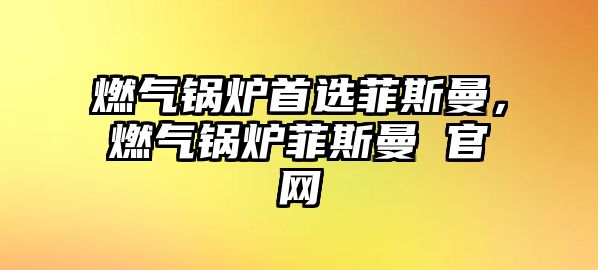 燃氣鍋爐首選菲斯曼，燃氣鍋爐菲斯曼 官網