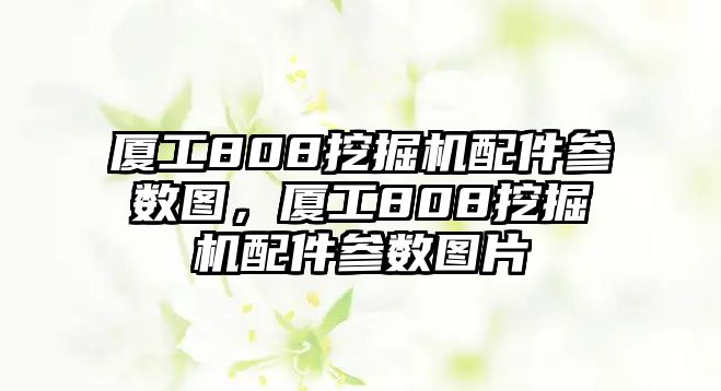 廈工808挖掘機配件參數圖，廈工808挖掘機配件參數圖片