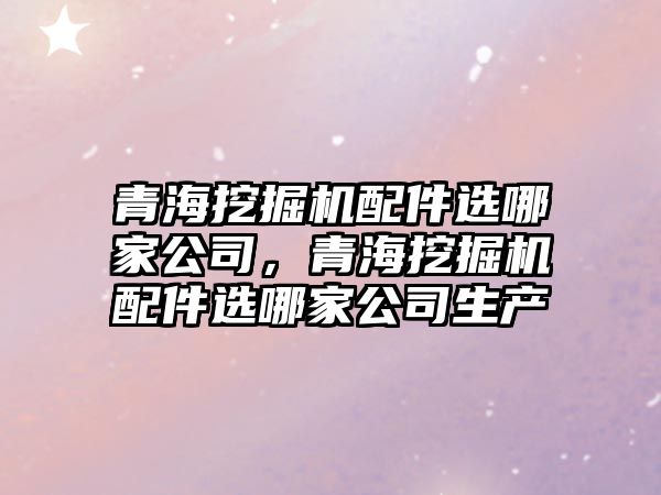 青海挖掘機配件選哪家公司，青海挖掘機配件選哪家公司生產