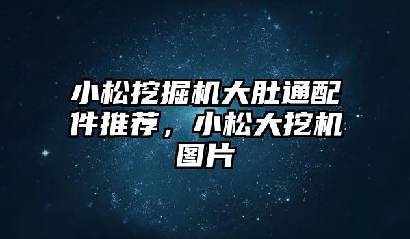 小松挖掘機大肚通配件推薦，小松大挖機圖片