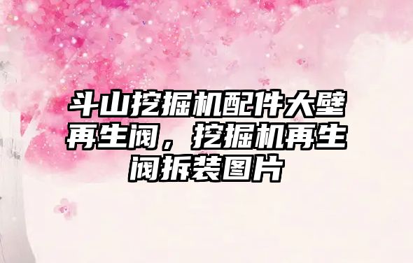 斗山挖掘機配件大壁再生閥，挖掘機再生閥拆裝圖片