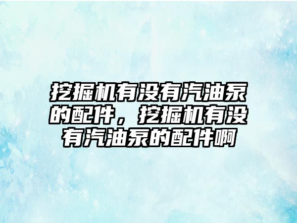 挖掘機有沒有汽油泵的配件，挖掘機有沒有汽油泵的配件啊