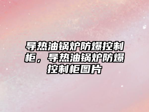 導熱油鍋爐防爆控制柜，導熱油鍋爐防爆控制柜圖片