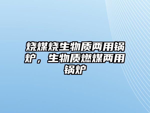 燒煤燒生物質兩用鍋爐，生物質燃煤兩用鍋爐