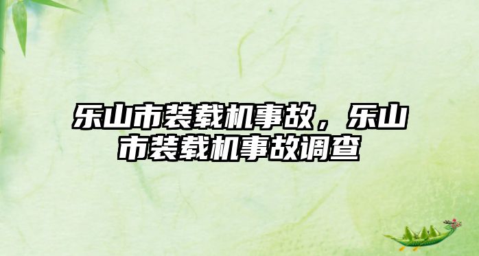 樂山市裝載機事故，樂山市裝載機事故調(diào)查