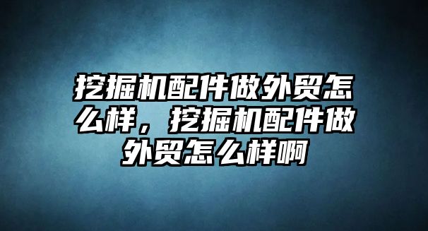 挖掘機配件做外貿怎么樣，挖掘機配件做外貿怎么樣啊