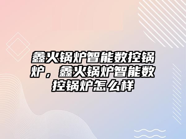 鑫火鍋爐智能數(shù)控鍋爐，鑫火鍋爐智能數(shù)控鍋爐怎么樣