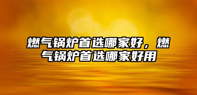 燃氣鍋爐首選哪家好，燃氣鍋爐首選哪家好用