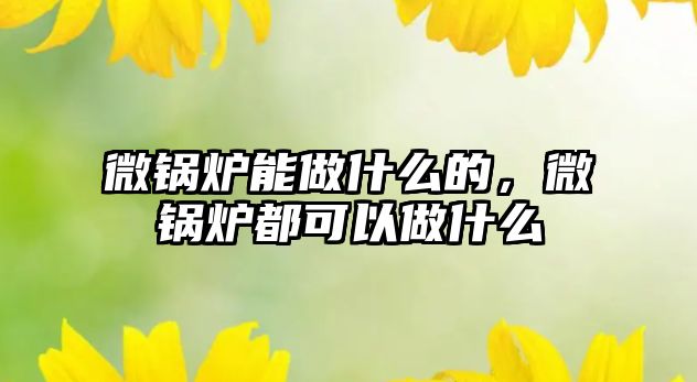 微鍋爐能做什么的，微鍋爐都可以做什么